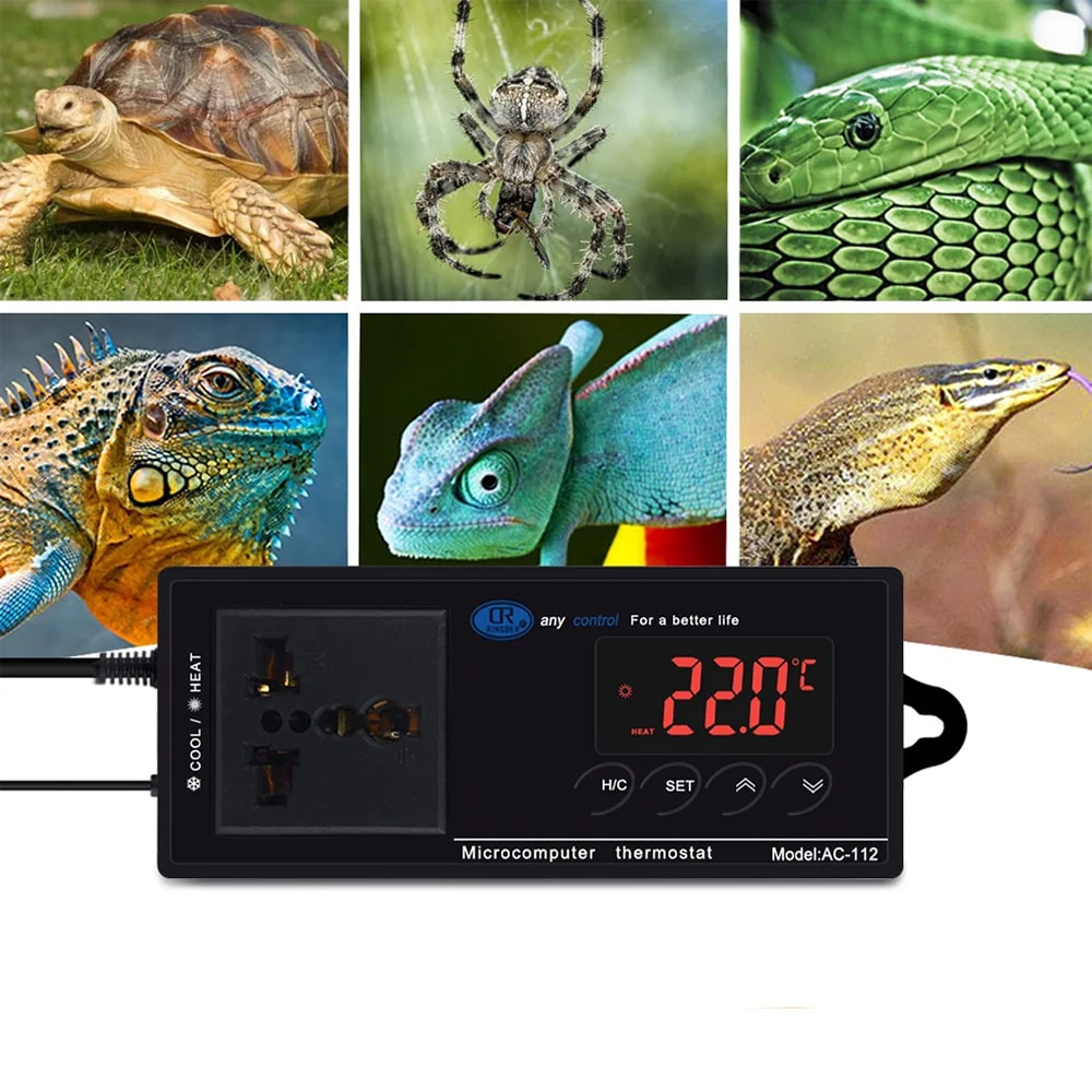 thermostat terrarium capteur ntc tortue terrestre reptile 2