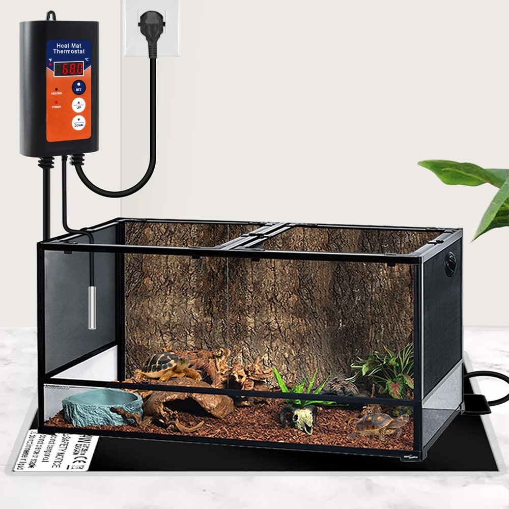 thermostat terrarium controle temperature tapis chauffant 3