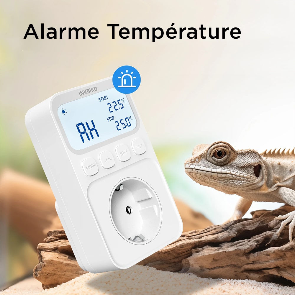 thermostat terrarium maison digital dimmer sonde 3