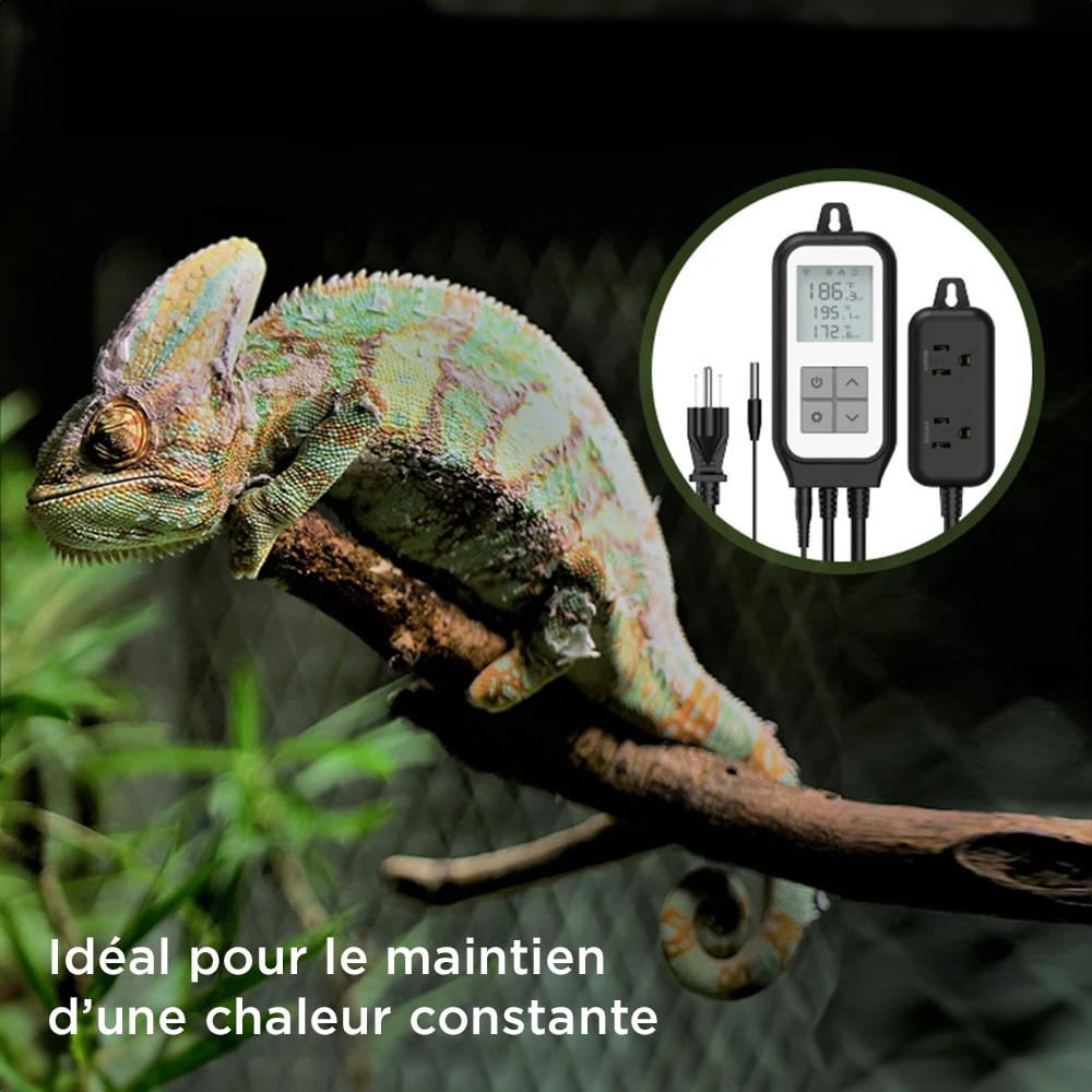 thermostat terrarium pour tapis chauffant wifi deux circuits3 thermostat terrarium pour tapis chauffant wifi deux circuits3