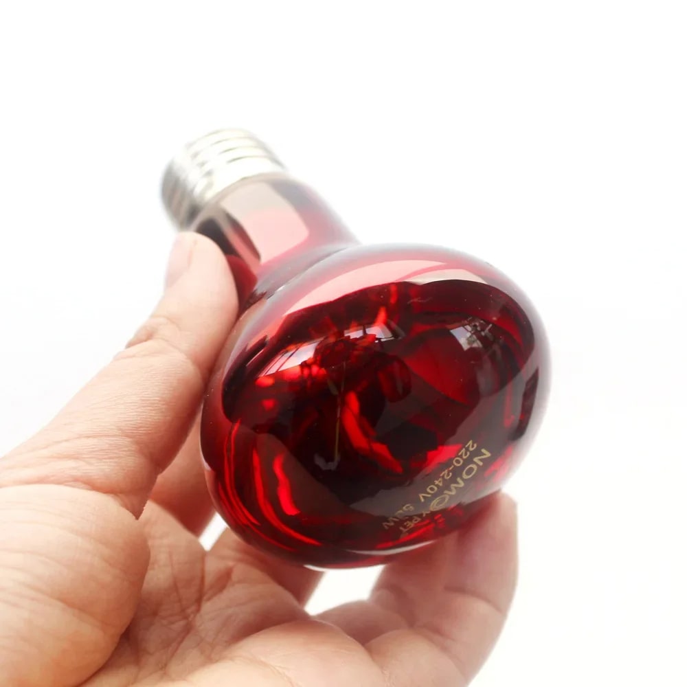 ampoule infrarouge chauffante reptile amphibien terrarium 25w 50w 75w 100w 2