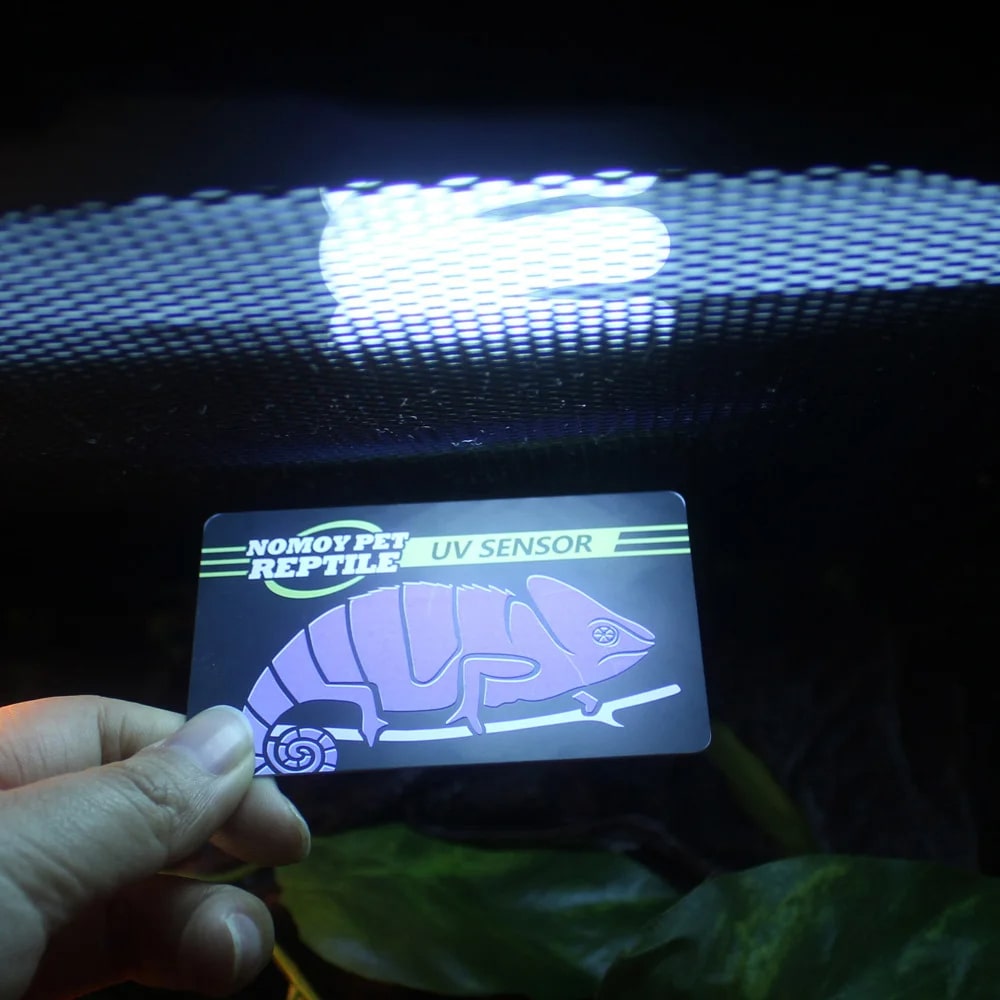 carte verification uv terrarium 2