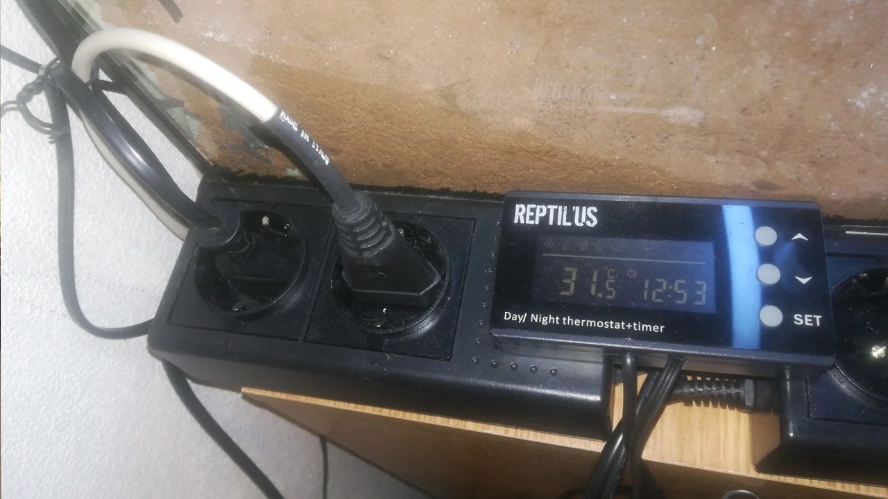 comment installer un thermostat dans un terrarium 2 comment installer un thermostat dans un terrarium 2