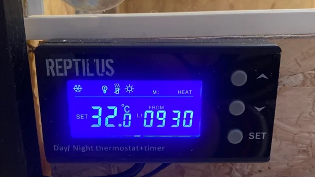 comment installer un thermostat dans un terrarium 3 comment installer un thermostat dans un terrarium 3