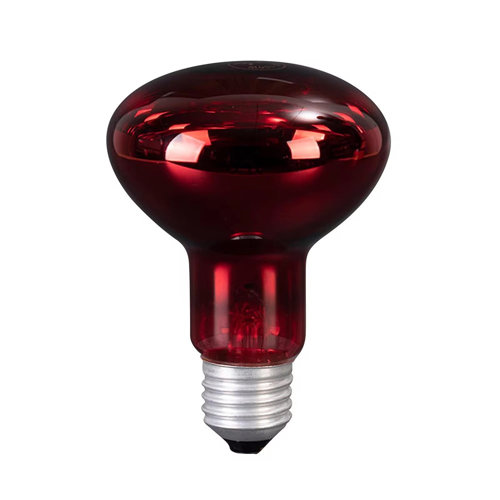 lampe chauffante infrarouge terrarium tortue 100w 1