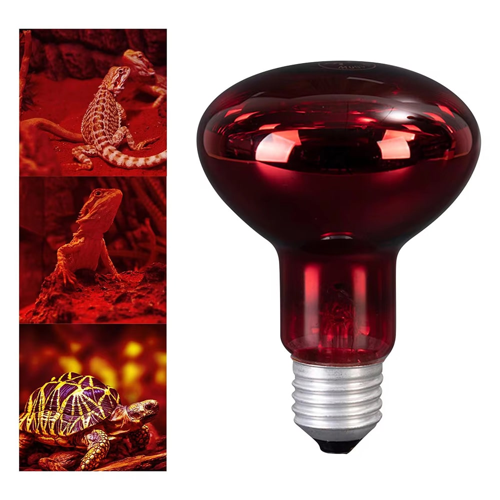 lampe chauffante infrarouge terrarium tortue 100w 2