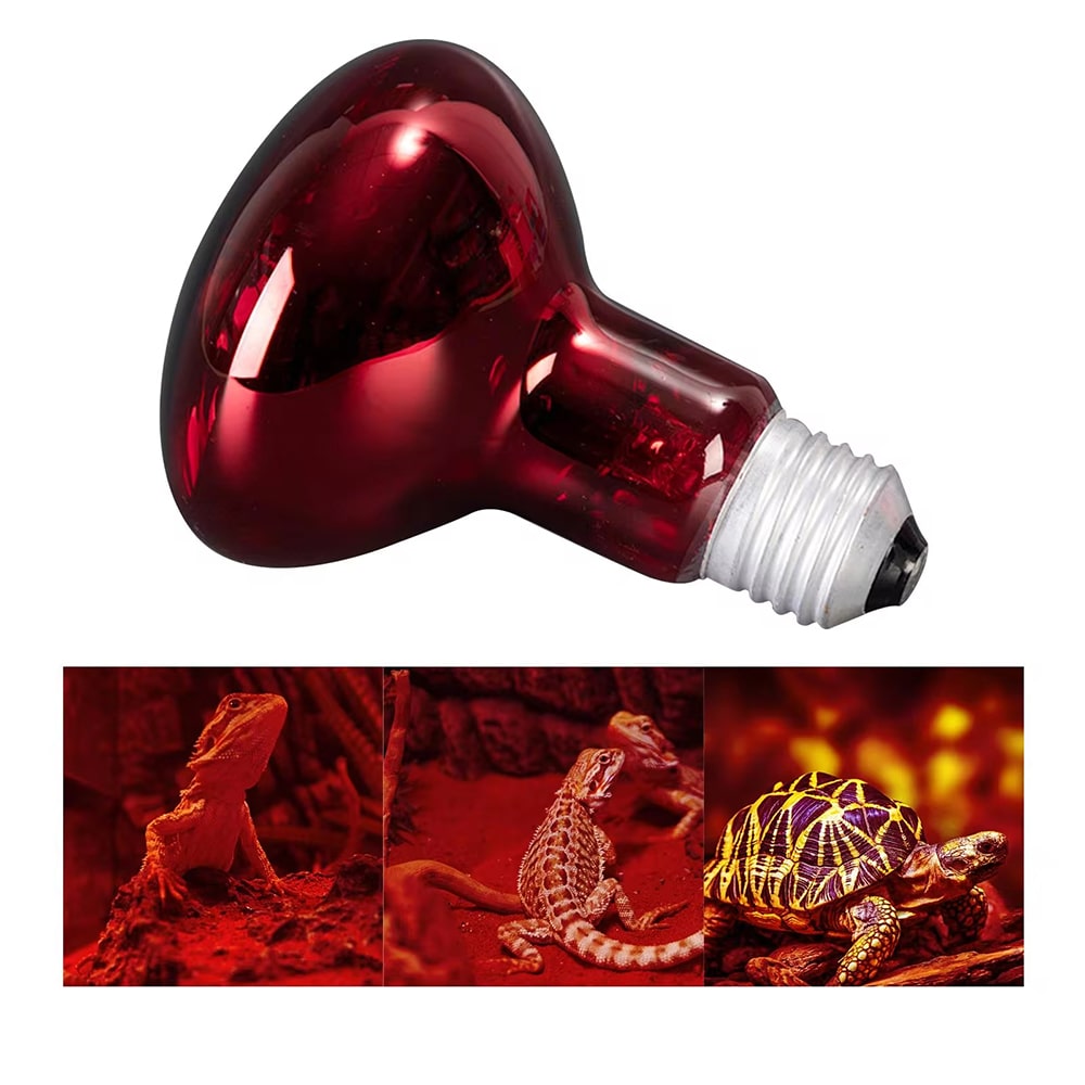 lampe chauffante infrarouge terrarium tortue 100w 3