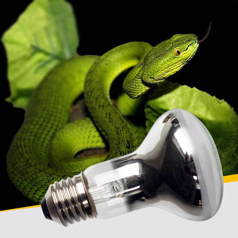lampe chauffante lumiere naturelle soleil de terrarium resistant eau 2