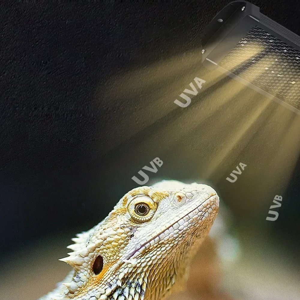 lampe chauffante spectre led complet uva uvb 10 0 20 0 terrarium 1