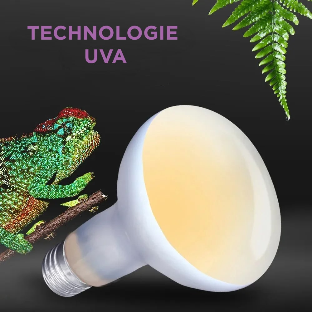 lampe chauffante uva terrarium reptiles 25w 40w 50w 60w 75w 100w 1
