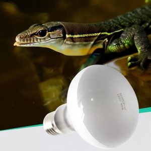 lampe chauffante uva terrarium reptiles 25w 40w 50w 60w 75w 100w 3