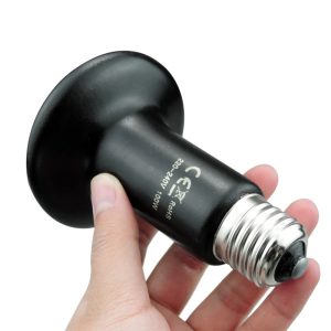 lampe infrarouge terrarium pour reptile 25w 50w 75w 100w 2