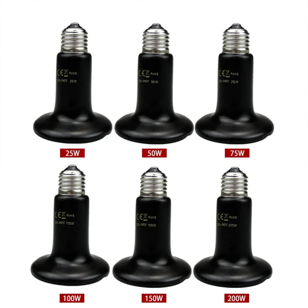 lampe infrarouge terrarium pour reptile 25w 50w 75w 100w 3